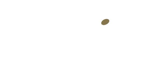Barino Logo
